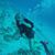 Kelly Jane Crawford's profile image