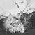 Suzanne Schanz's profile image