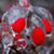 Peggy Sangiorgi's profile image