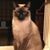 Gina Beadling's profile image
