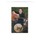 Tom Bradfish's profile image