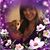 Carina Cristiano's profile image