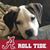 Diane Rowden's profile image
