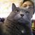 Kerry Camargo's profile image