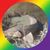 Dawn Lawrence's profile image