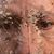 Michael Grohall's profile image