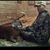 Mike Kluttz's profile image