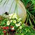 Carolyn Dinsbier's profile image