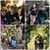 Deborah Mell Yohe's profile image