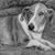 Wolfe Creek Art's profile image