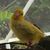 Mary Cardosi's profile image
