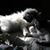 Mary Jo Harvey's profile image