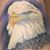 Bobby Martin's profile image