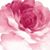 Nicola Griffin-Borgquist's profile image