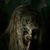 Deborah Jean Perkins's profile image