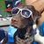 Kevin Zimmermann's profile image
