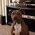 Bruce Dest's profile image
