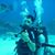 Farhad Farzaneh's profile image