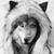 Lynn Thornton's profile image