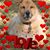 Lauretta Kellogg's profile image