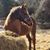 Jean E. Goodale's profile image