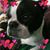 Shirley Ubaldo Olohan's profile image