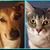 Darlene Stusek's profile image
