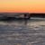 Judy Barry-Marlow's profile image
