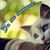 Jackie Meyer's profile image