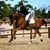 Rachel Hutchings's profile image