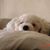 Paul Alan Schuldt's profile image