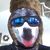 Steve Chaconas's profile image