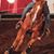 Hal Wiley's profile image