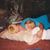 Shellie Handt's profile image