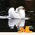 Nancy Robinson's profile image