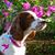 Sandra Lear's profile image