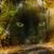 Karen Van Buskirk's profile image