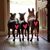 Sylvia M. Valle's profile image