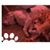 Diane Senske's profile image