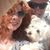 Linda Cardona Powers's profile image