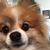 Cathy Addington's profile image