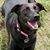 Jackie Stapleford's profile image