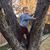 Kathy Sherwood Rhodes's profile image