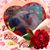 Brenda Painter's profile image