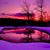 Marsha Abbott's profile image
