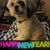 Debra Jackson LaTray's profile image