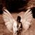 Kristin Jolley's profile image