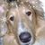 Elizabeth Collins's profile image
