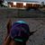 Rhonda Dunlap's profile image