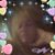 Rose Bergstad's profile image